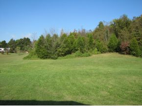 935 Old Baileyton Road Afton, TN 37616 - Photo 14 of 14 great back yard