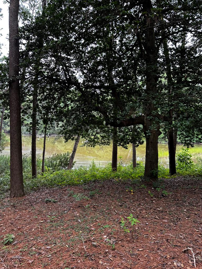 7086 Long Point Road Exmore, VA 23350 - Photo 37 of 42