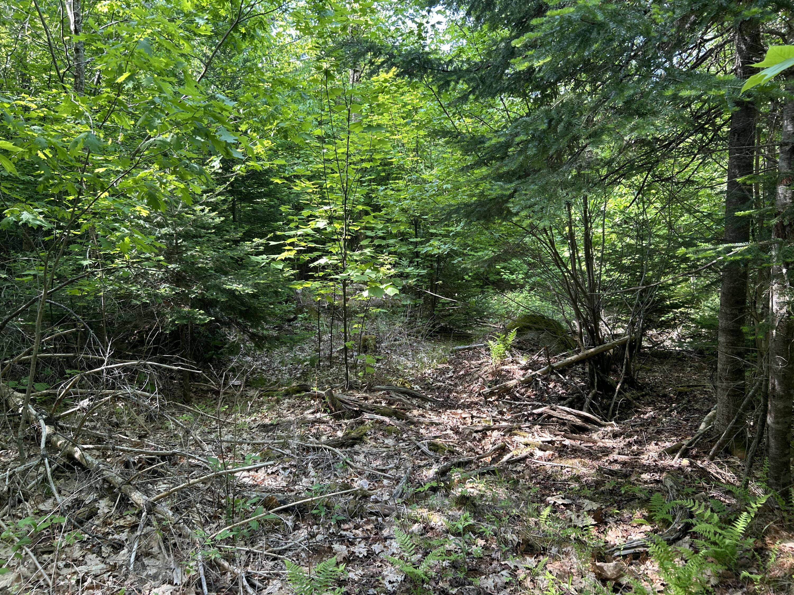 M5-l13 Clark Road Prospect, ME 04981 - Photo 21 of 33 IMG_8794