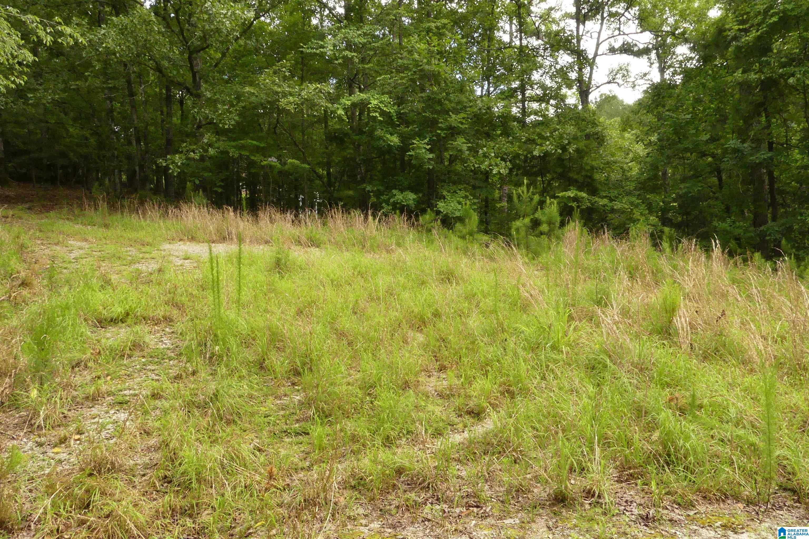 199 River Birch Road, Unit 108 Wedowee, AL 36278 - Photo 21 of 21