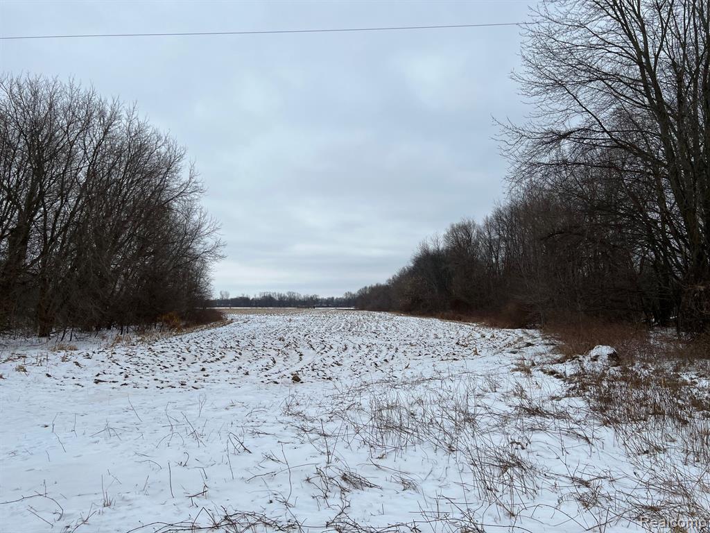 Vl Castle Road North Branch, MI 48461 - Photo 1 of 4