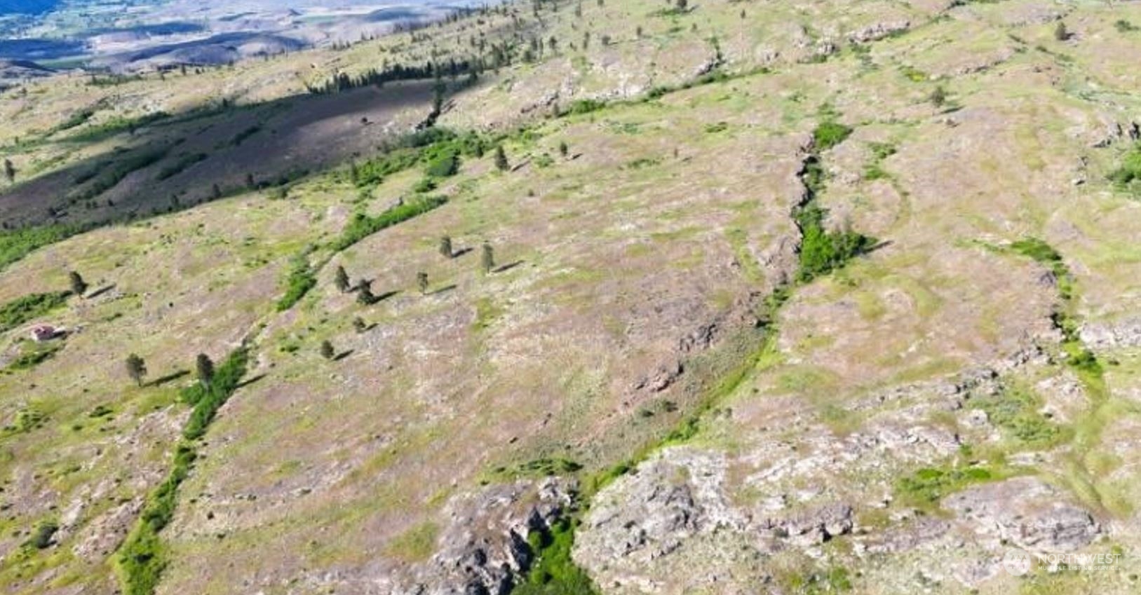 0 McLaughlin Canyon Road, Unit YCC Tonasket, WA 98855 - Photo 3 of 9 a view of a plant with a yard