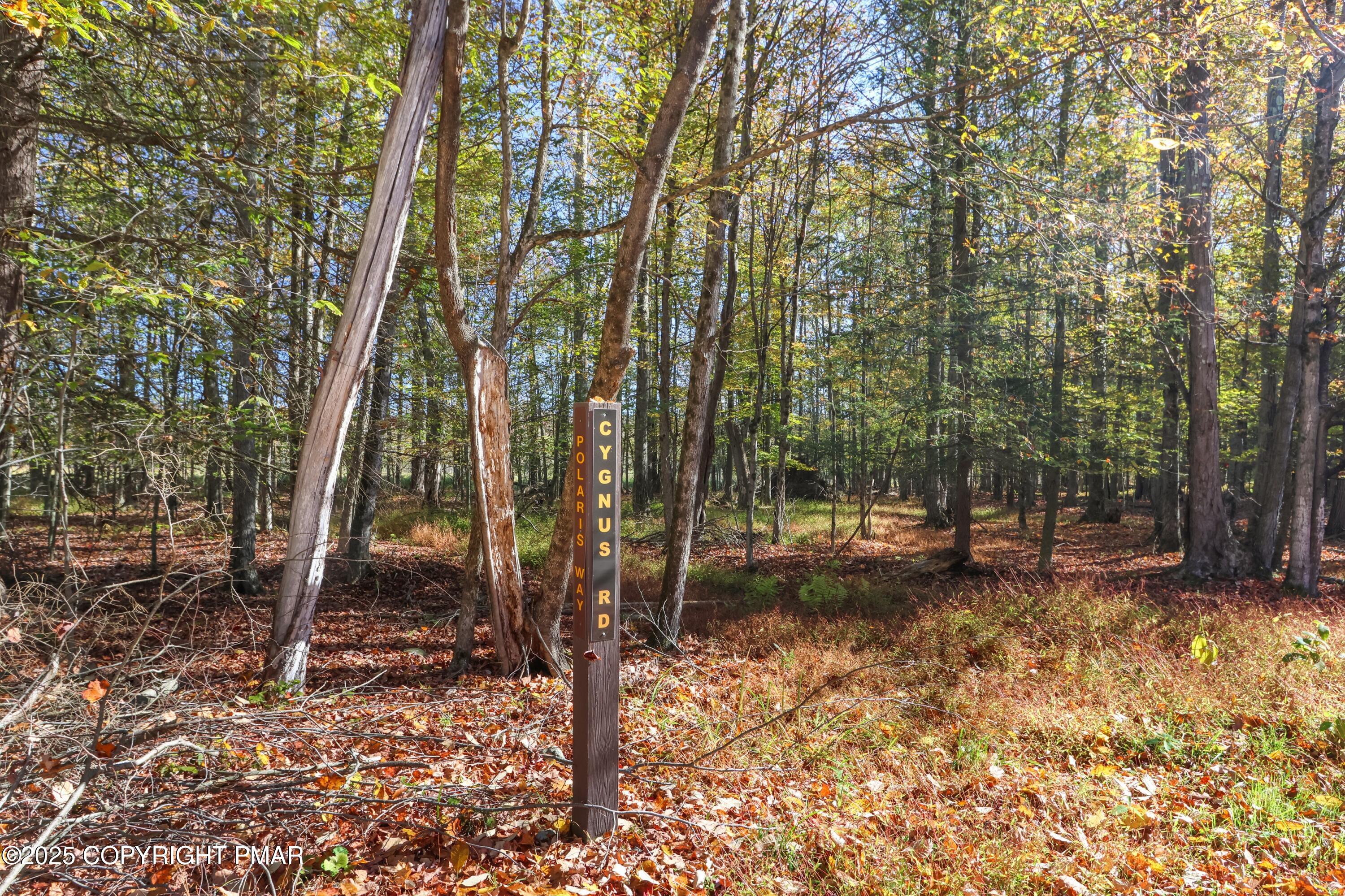 Cygnus Rd Lake Lake Ariel, PA 18436 - Photo 2 of 22 095A5488