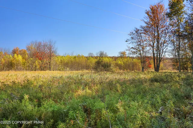 a view of backyard with green space