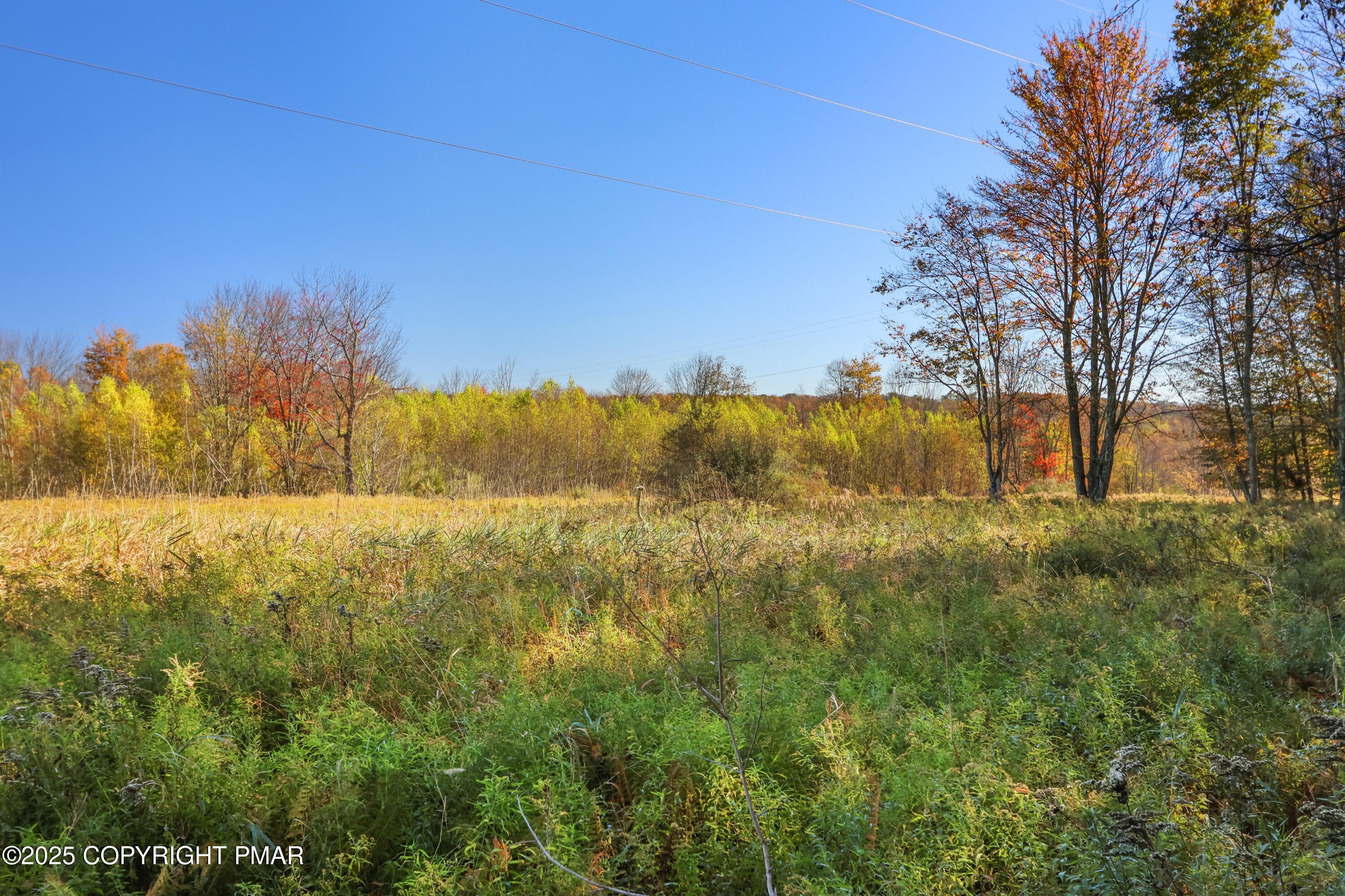 Cygnus Rd Lake Lake Ariel, PA 18436 - Photo 3 of 22 095A5494