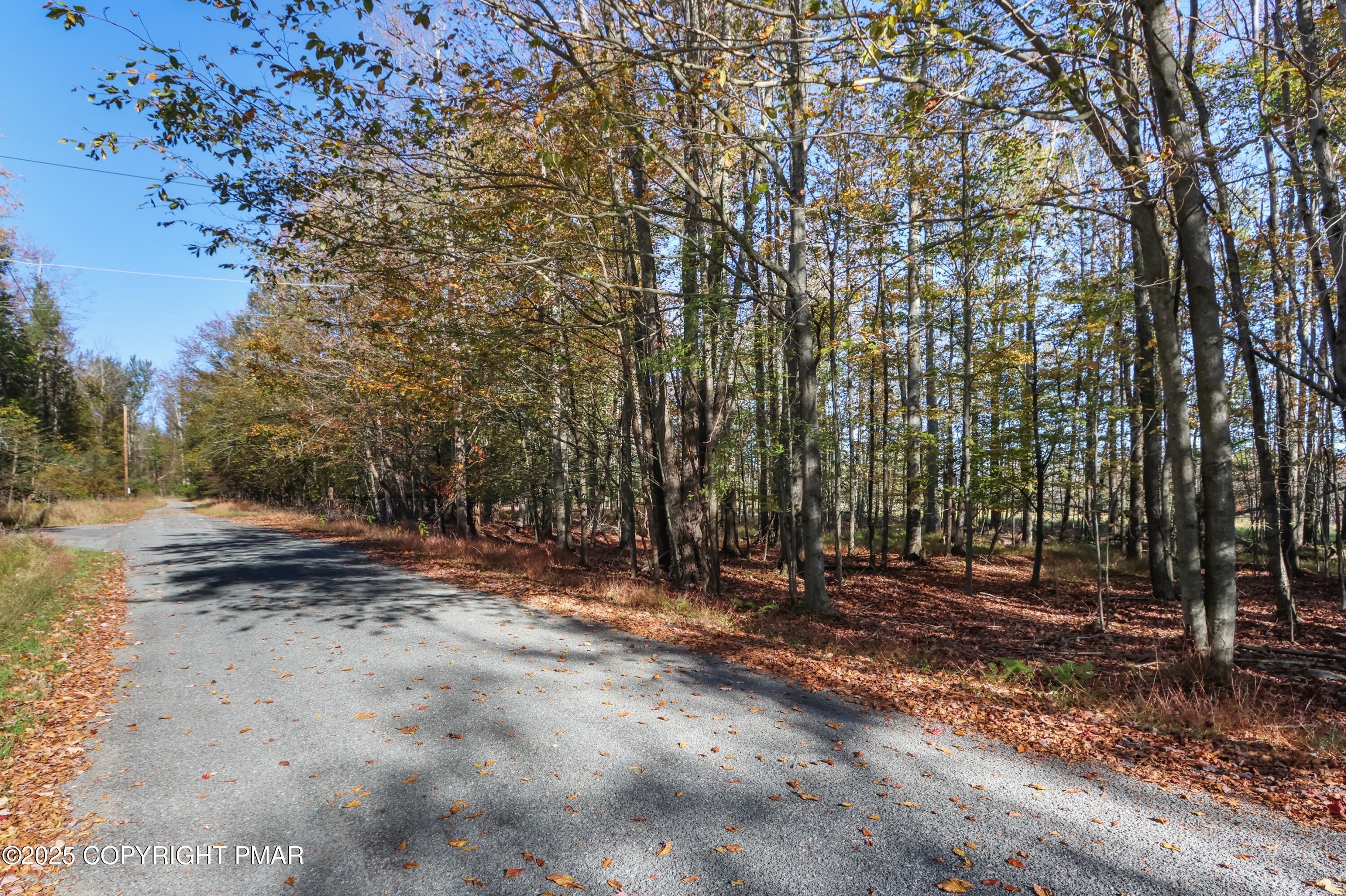 Cygnus Rd Lake Lake Ariel, PA 18436 - Photo 4 of 22 095A5471