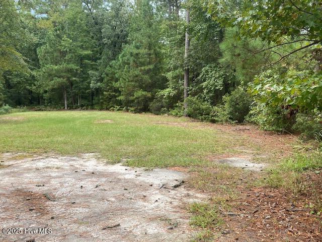 8 Pine Crest Road Bath, NC 27808 - Photo 4 of 9 Gallery Image 4