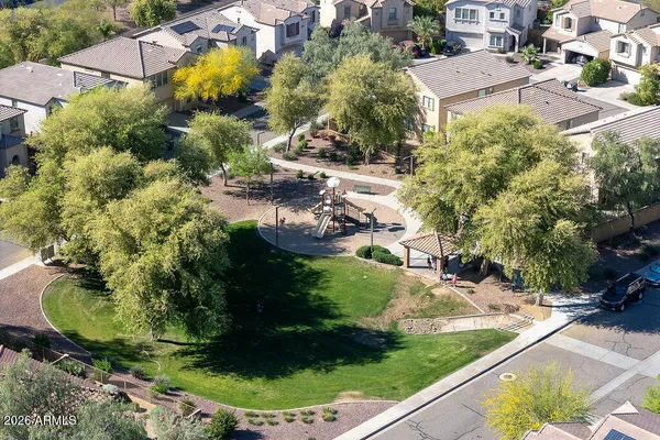 a view of a garden with plants