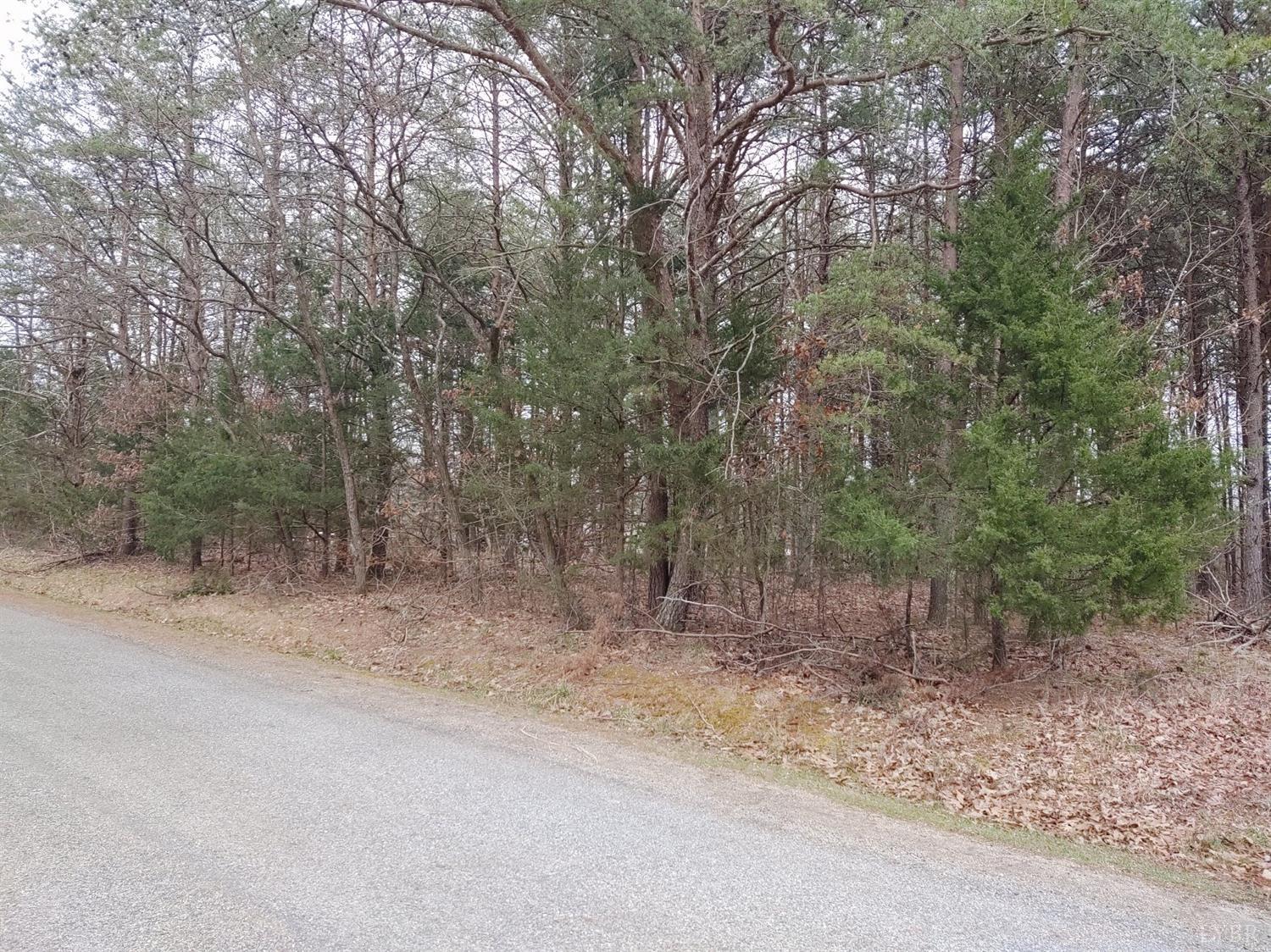 a view of a forest with trees in the background