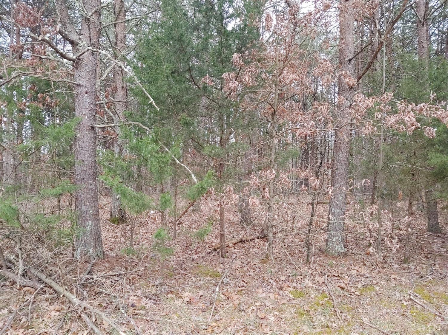 0 Alcock Road Amherst, VA 24521 - Photo 4 of 5 a backyard of a house with lots of trees