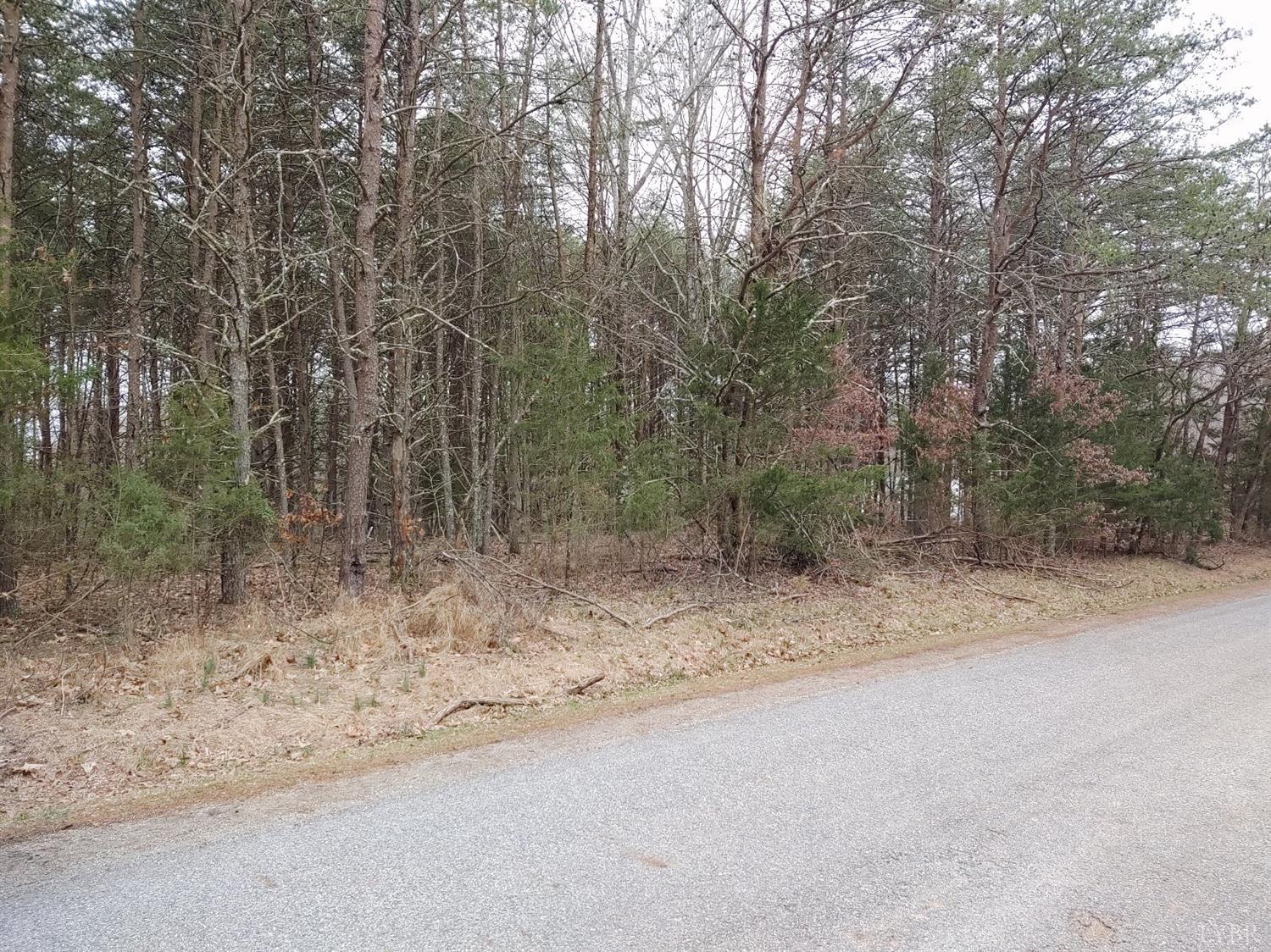 0 Alcock Road Amherst, VA 24521 - Photo 5 of 5 a view of a dirt road with trees in the background