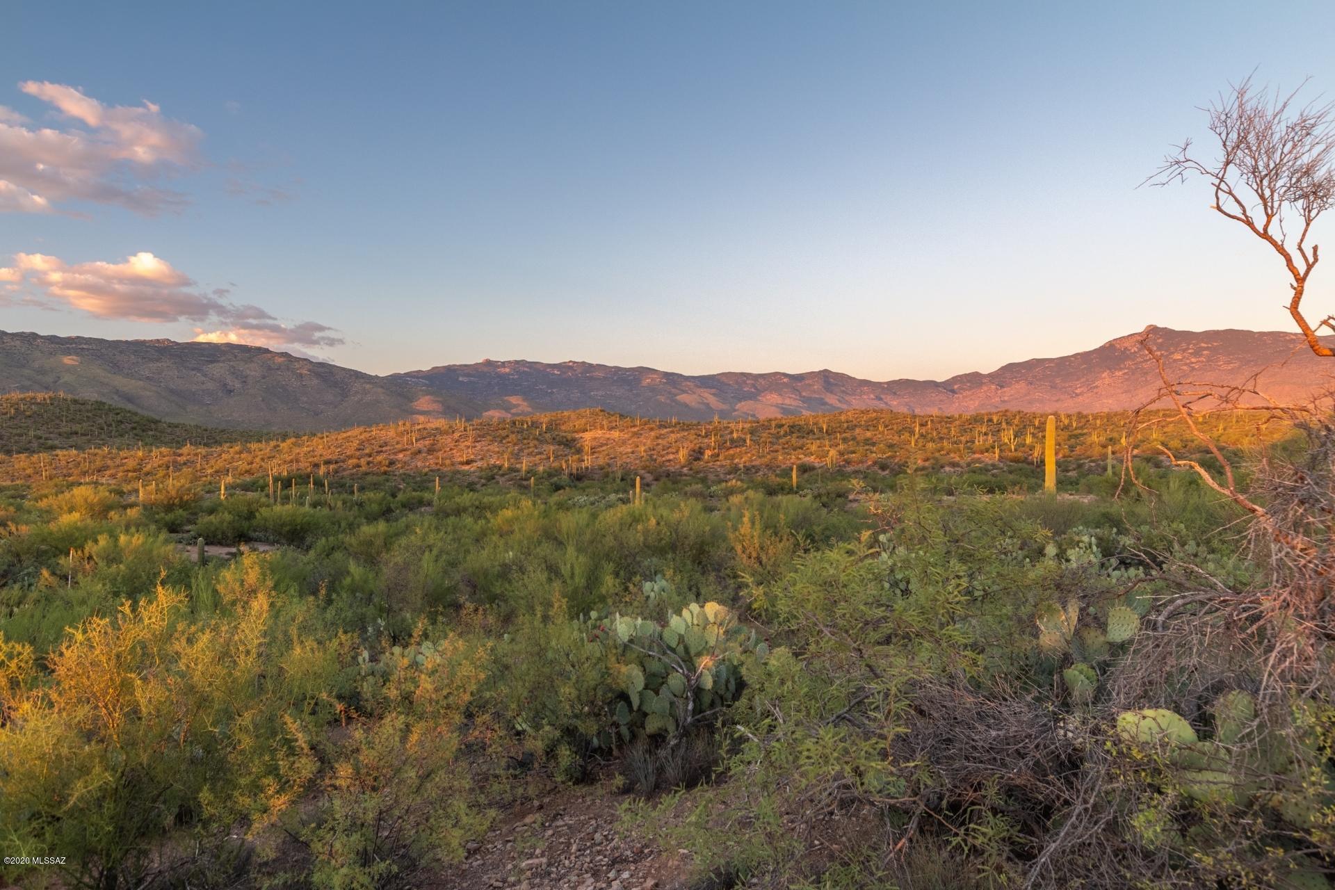 14917 East Diamond Q Ranch Place, Unit 226 Vail, AZ 85641 - Photo 23 of 42