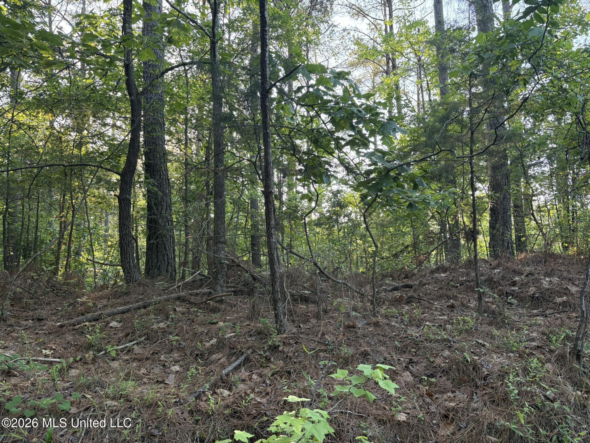 Stewart Weir Road Stewart, MS 39767 - Photo 11 of 28 42.5 Choctaw 18