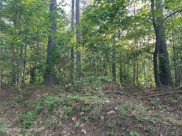 $105,000 | Stewart Weir Road, Stewart, MS 39767