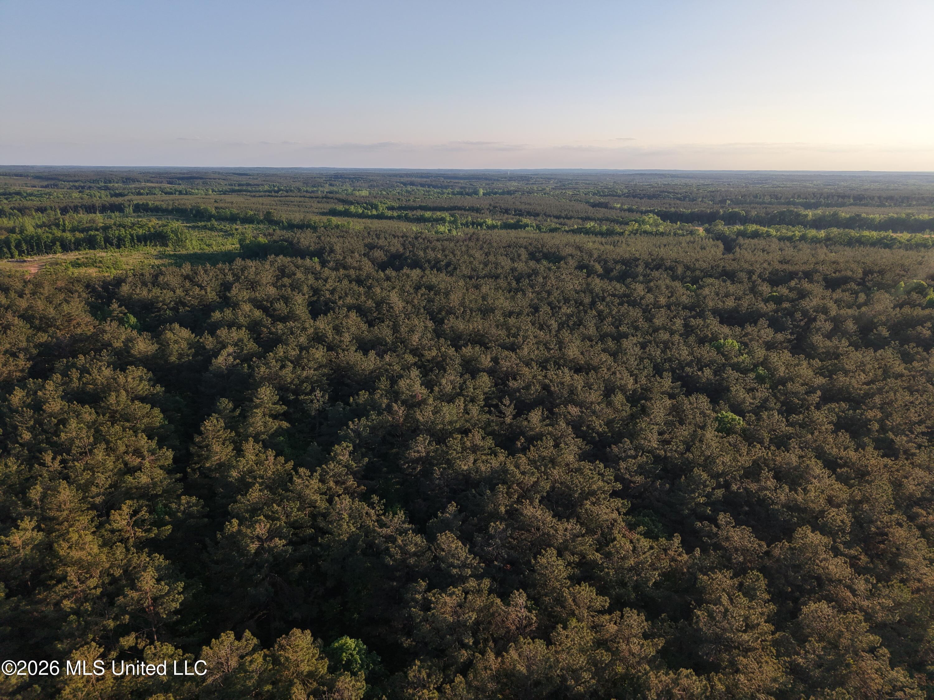 Stewart Weir Road Stewart, MS 39767 - Photo 14 of 28 42.5 Choctaw 16