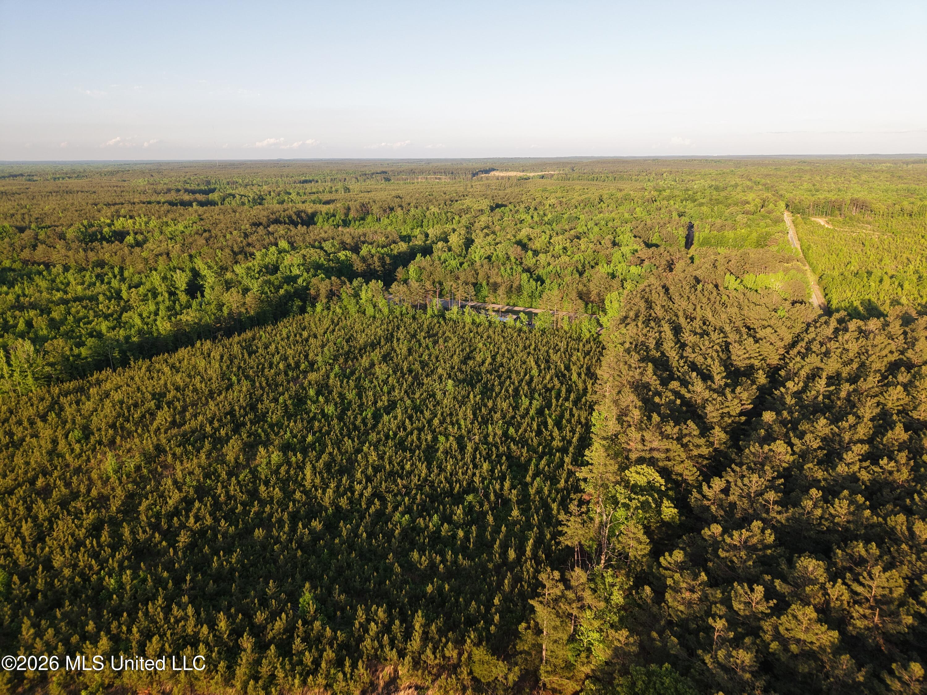 Stewart Weir Road Stewart, MS 39767 - Photo 15 of 28 42.5 Choctaw 15