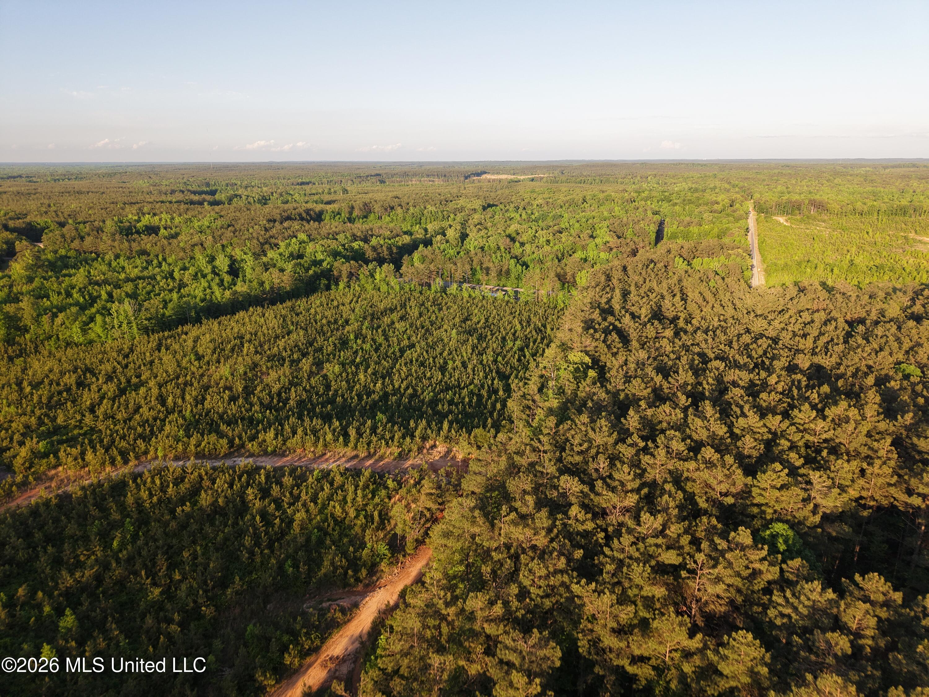 Stewart Weir Road Stewart, MS 39767 - Photo 16 of 28 42.5 Choctaw 14