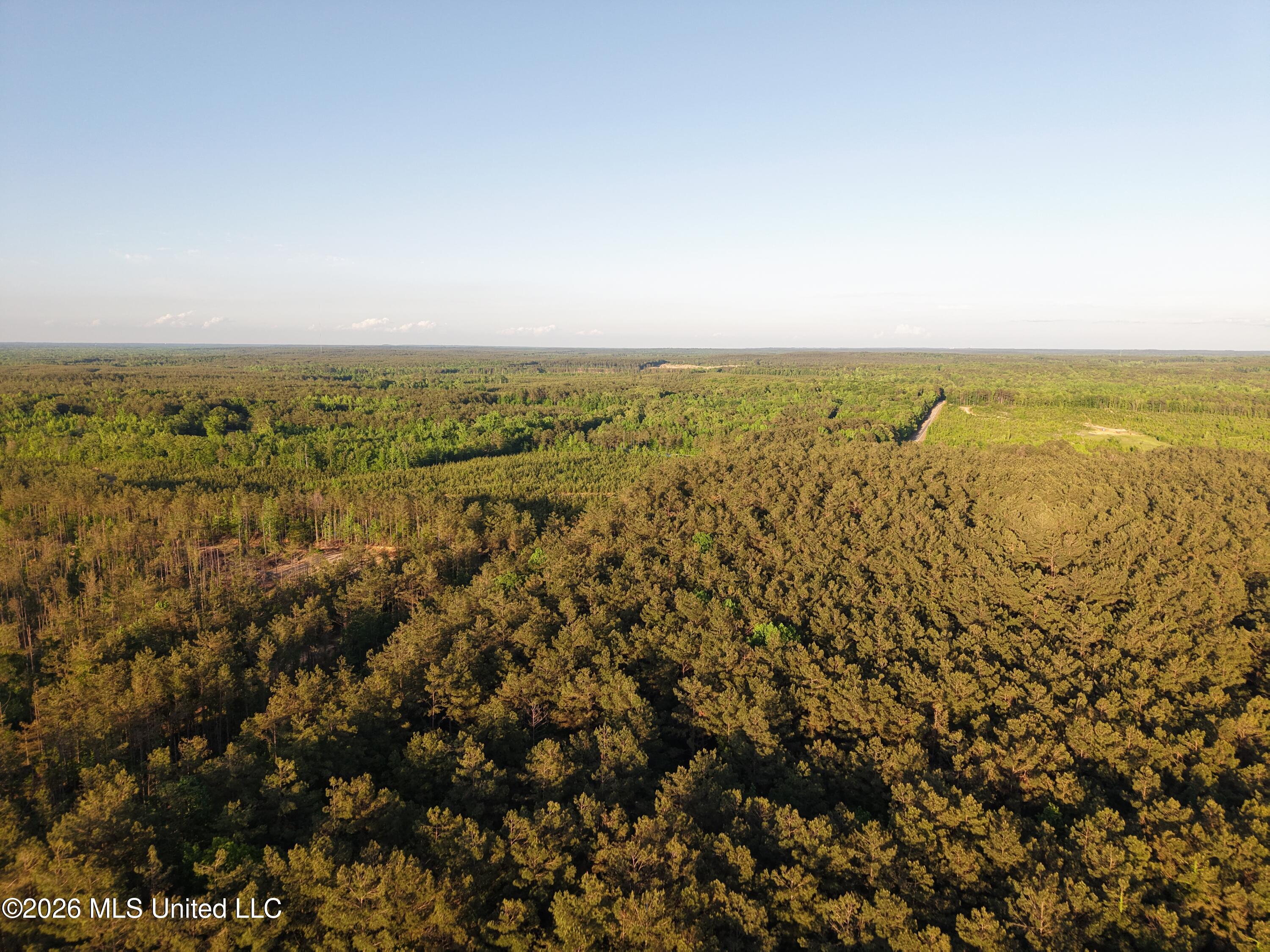 Stewart Weir Road Stewart, MS 39767 - Photo 18 of 28 42.5 Choctaw 12
