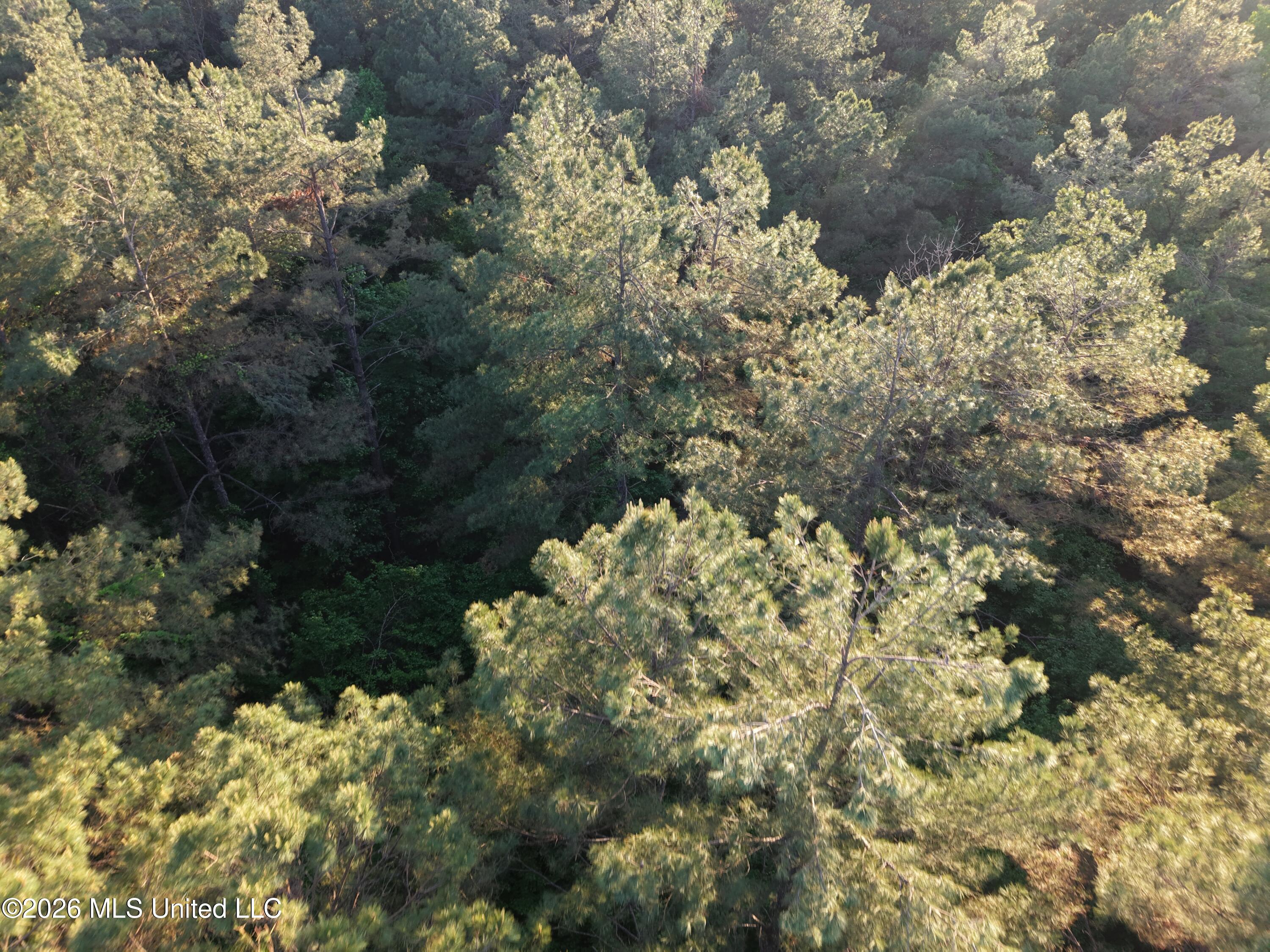 Stewart Weir Road Stewart, MS 39767 - Photo 22 of 28 42.5 Choctaw 8