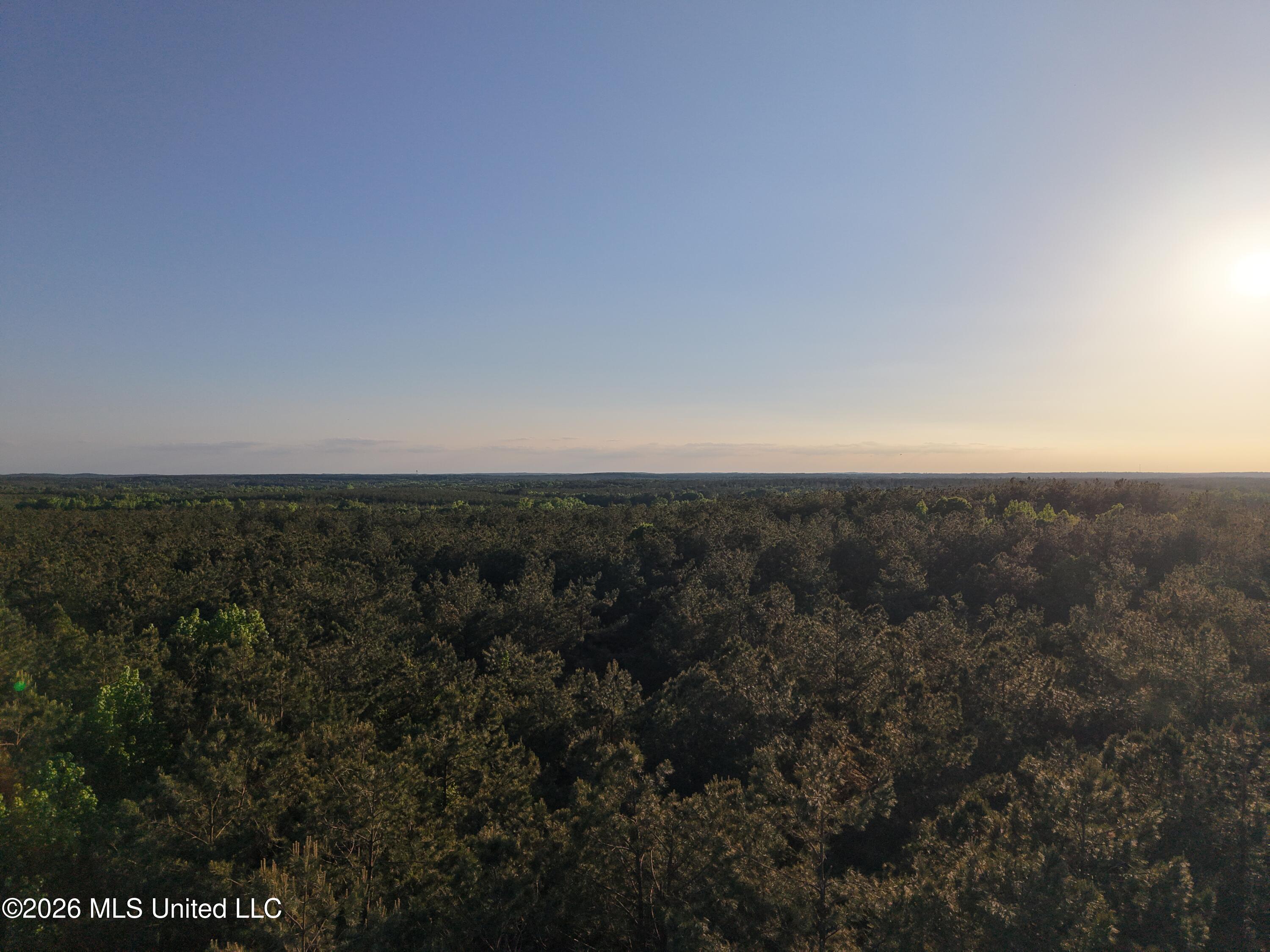 Stewart Weir Road Stewart, MS 39767 - Photo 24 of 28 42.5 Choctaw 6