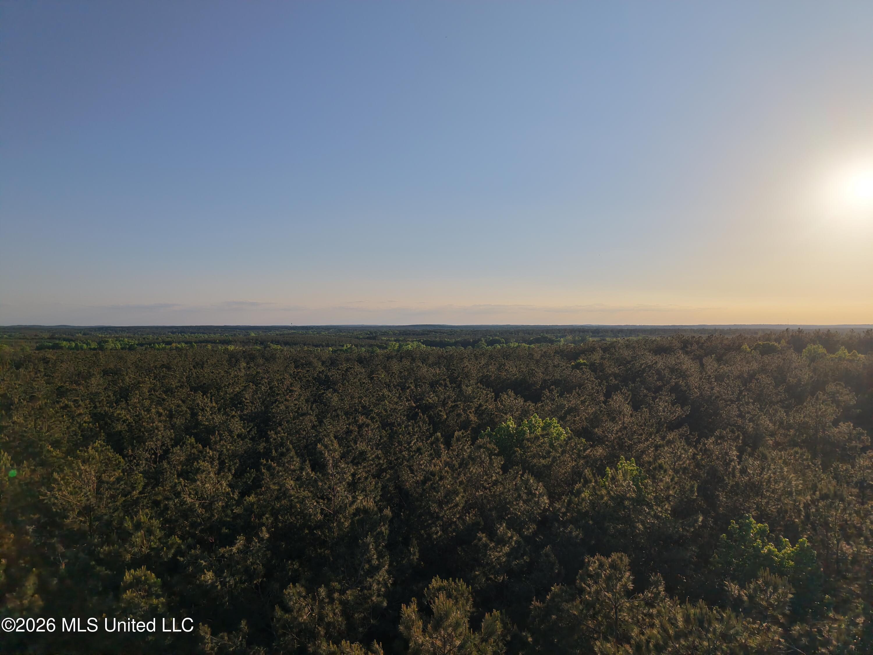 Stewart Weir Road Stewart, MS 39767 - Photo 25 of 28 42.5 Choctaw 5