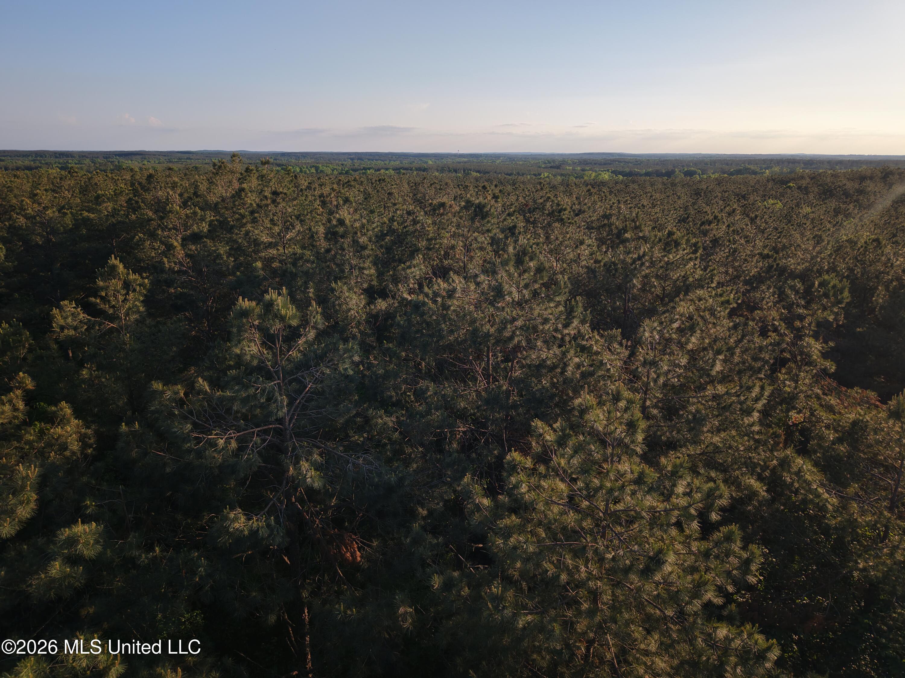 Stewart Weir Road Stewart, MS 39767 - Photo 26 of 28 42.5 Choctaw 4
