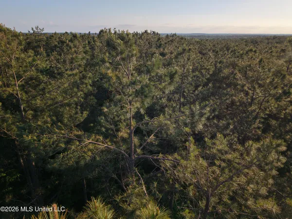 $105,000 | Stewart Weir Road, Stewart, MS 39767