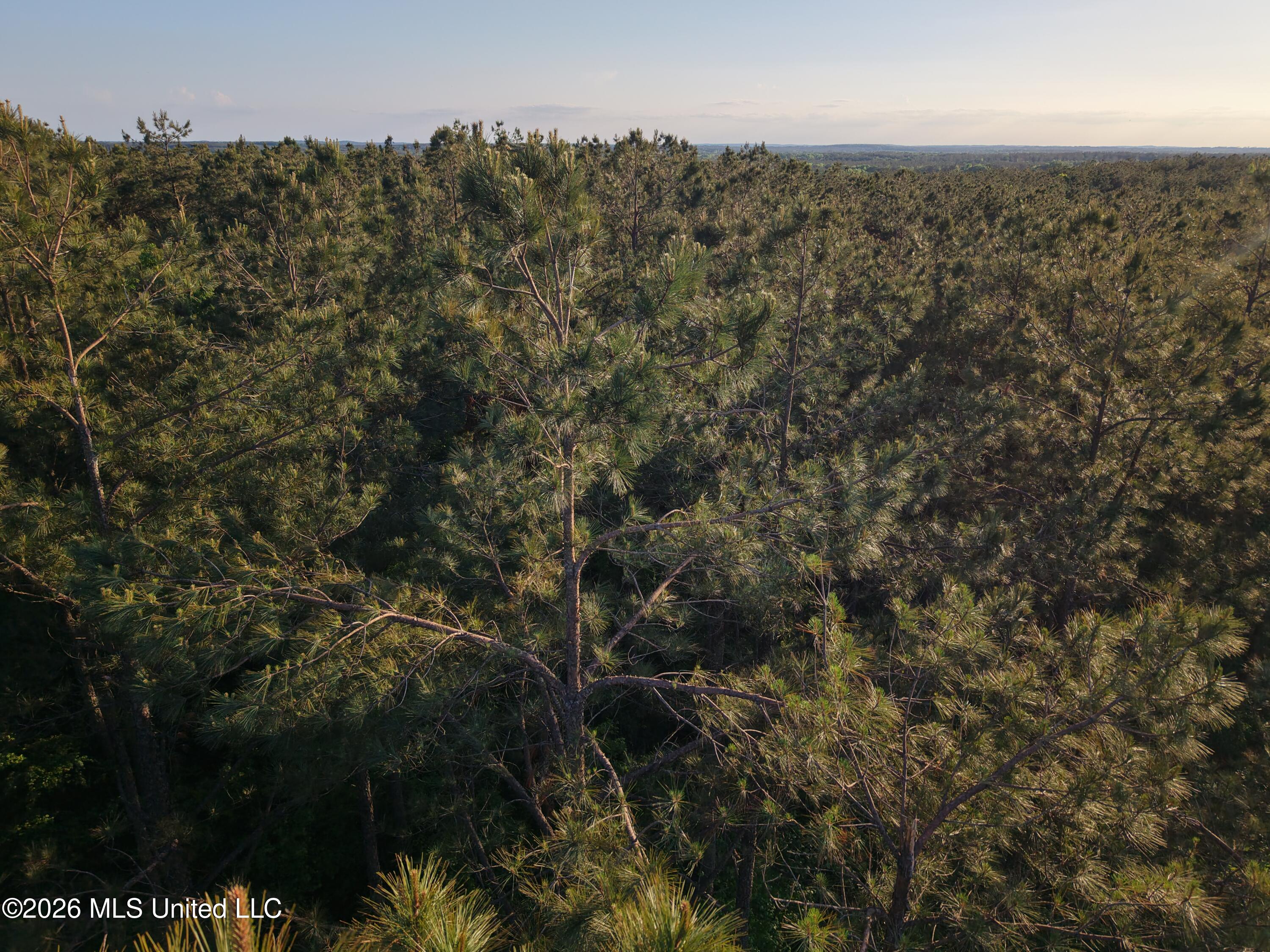 Stewart Weir Road Stewart, MS 39767 - Photo 27 of 28 42.5 Choctaw 3