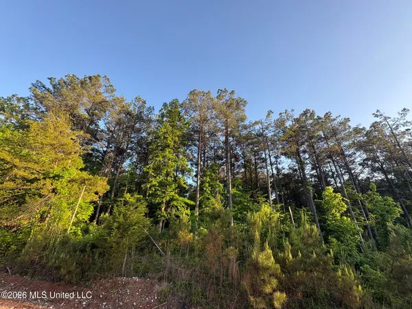 $105,000 | Stewart Weir Road, Stewart, MS 39767