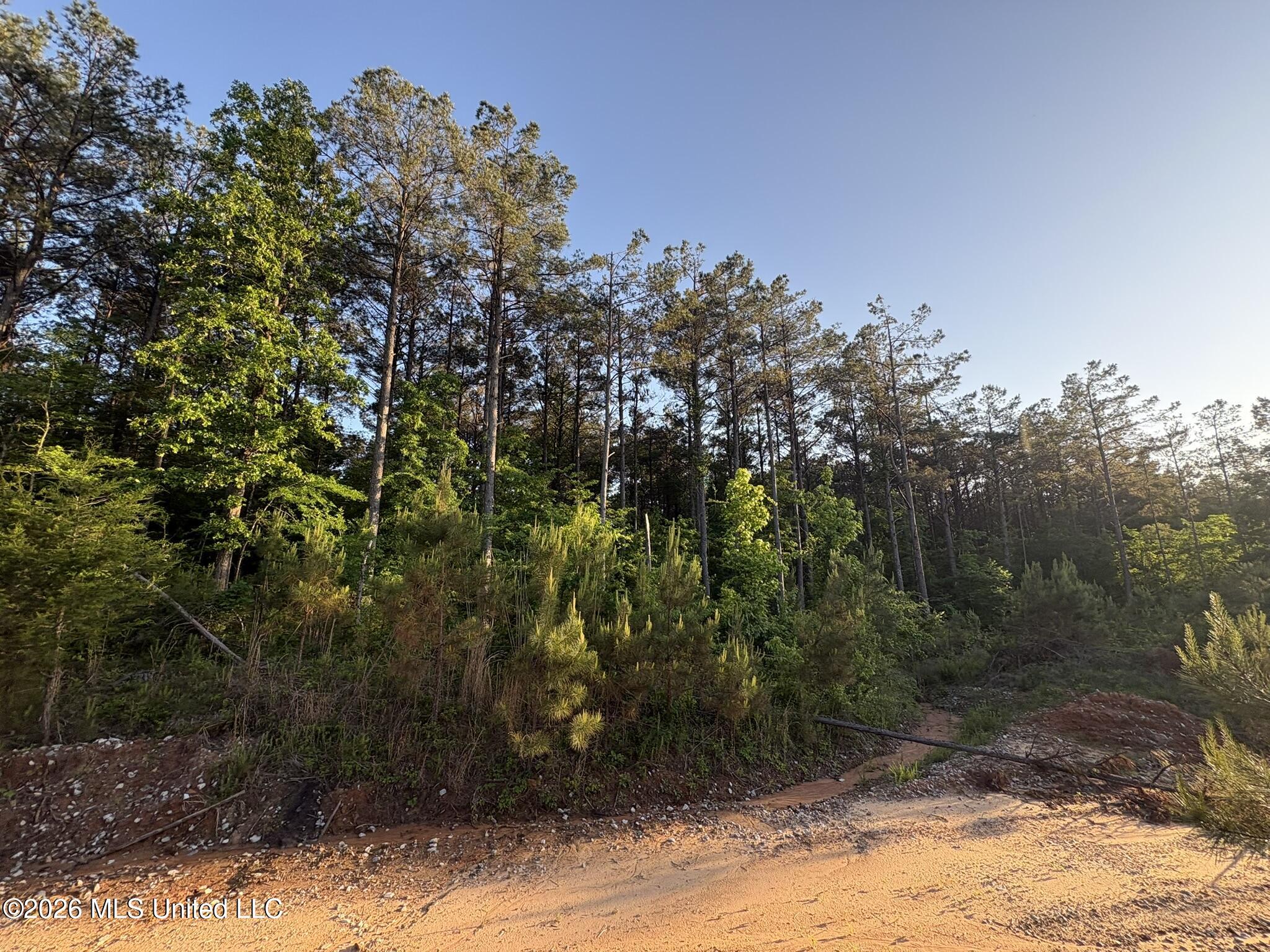 Stewart Weir Road Stewart, MS 39767 - Photo 4 of 28 42.5 Choctaw 25 JPEG