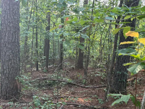 $105,000 | Stewart Weir Road, Stewart, MS 39767