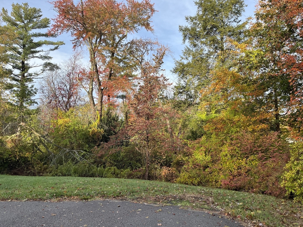 154 Prospect Street, Unit 154 Acton, MA 01720 - Photo 10 of 10 a view of a yard with a tree