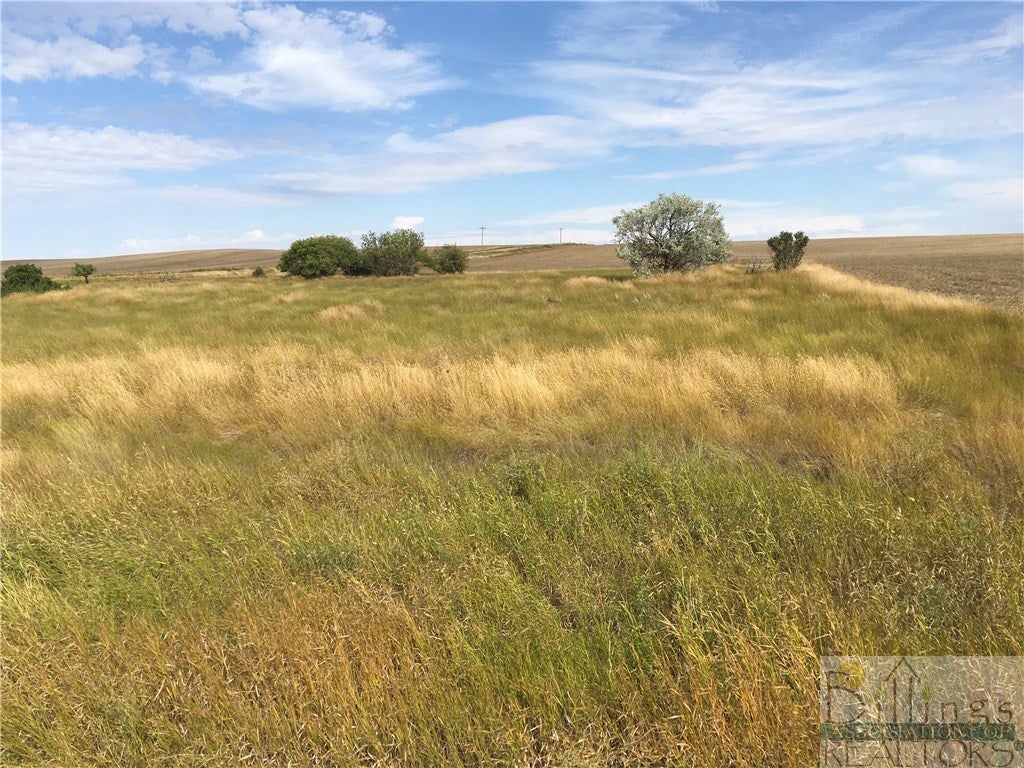 1072 Road 1072 Wolf Point, MT 59201 - Photo 1 of 1 Gallery Image 1