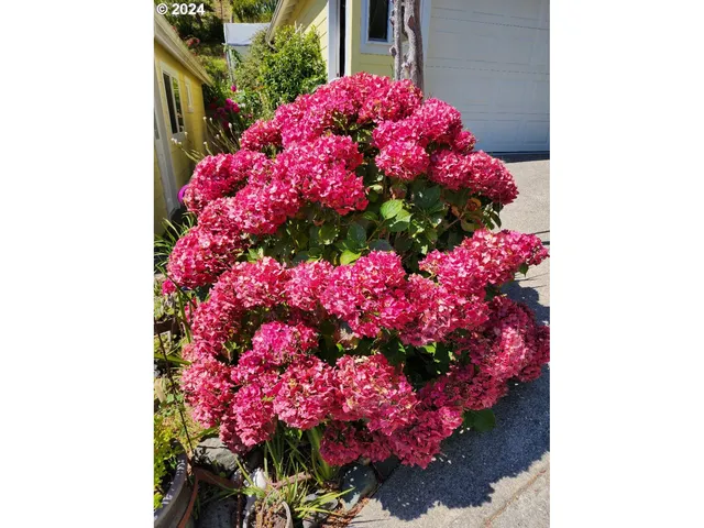 $595,000 | 94361 Wedderburn Loop, Gold Beach, OR 97444