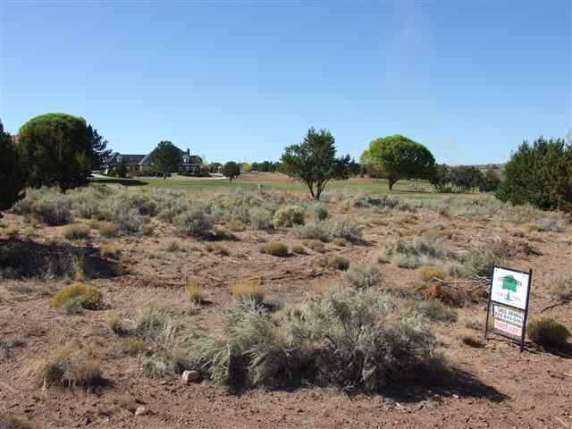 Lot 77 Snowflake Golf Course Snowflake, AZ 85937 - Photo 3 of 3