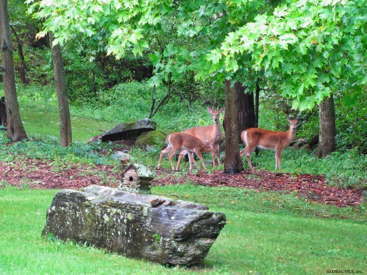 16 Gillespie Road Middle Granville, NY 12849 - Photo 48 of 56 Photo 49