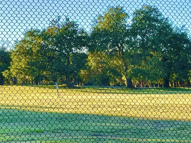 a view of a yard with a slide