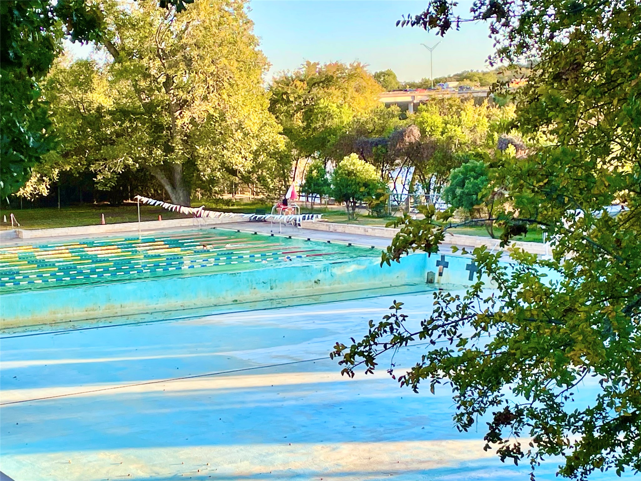601 Hearn Street, Unit 207 Austin, TX 78703 - Photo 34 of 40 a view of a garden with an outdoor space