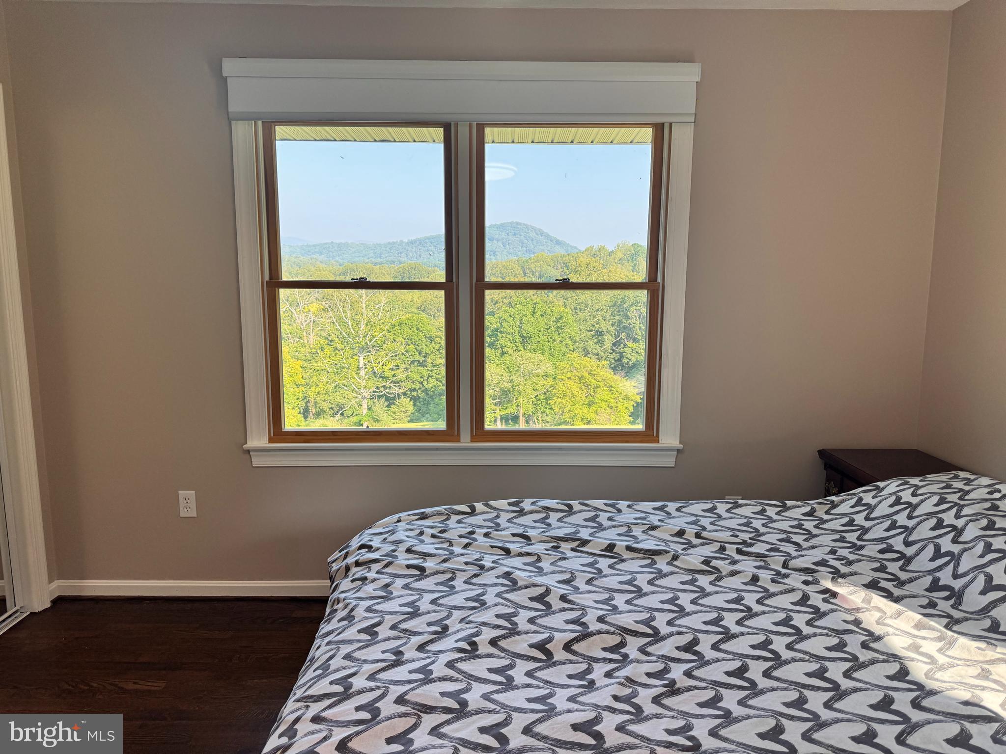 436 Castleton View Road Castleton, VA 22716 - Photo 41 of 66