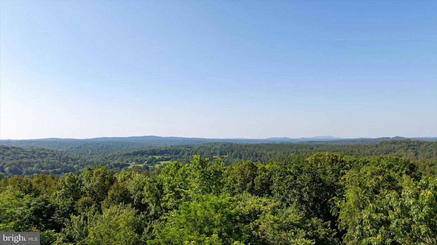 436 Castleton View Road Castleton, VA 22716 - Photo 60 of 66 a view of a green field