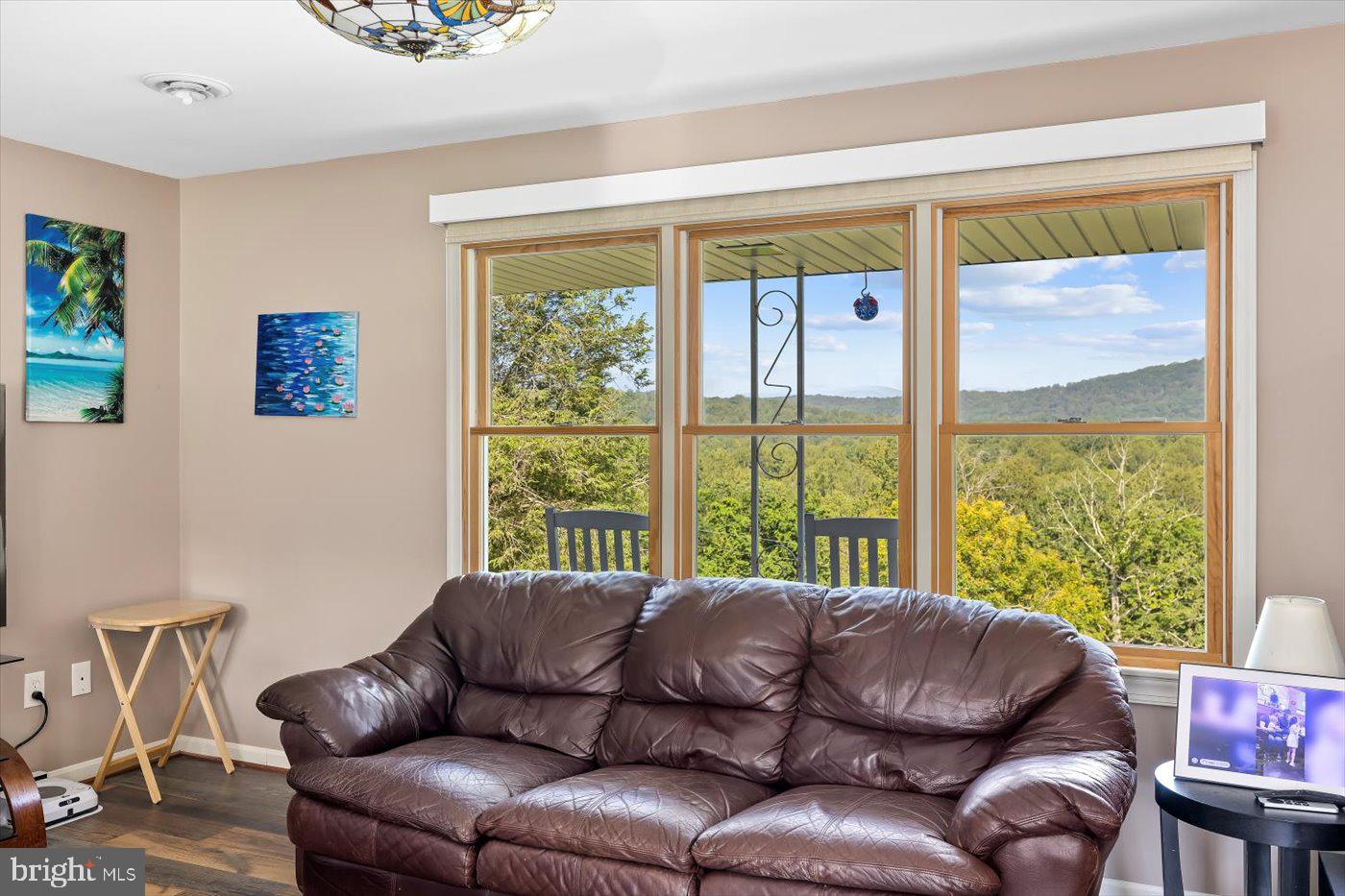 436 Castleton View Road Castleton, VA 22716 - Photo 10 of 66 a living room with furniture and a window