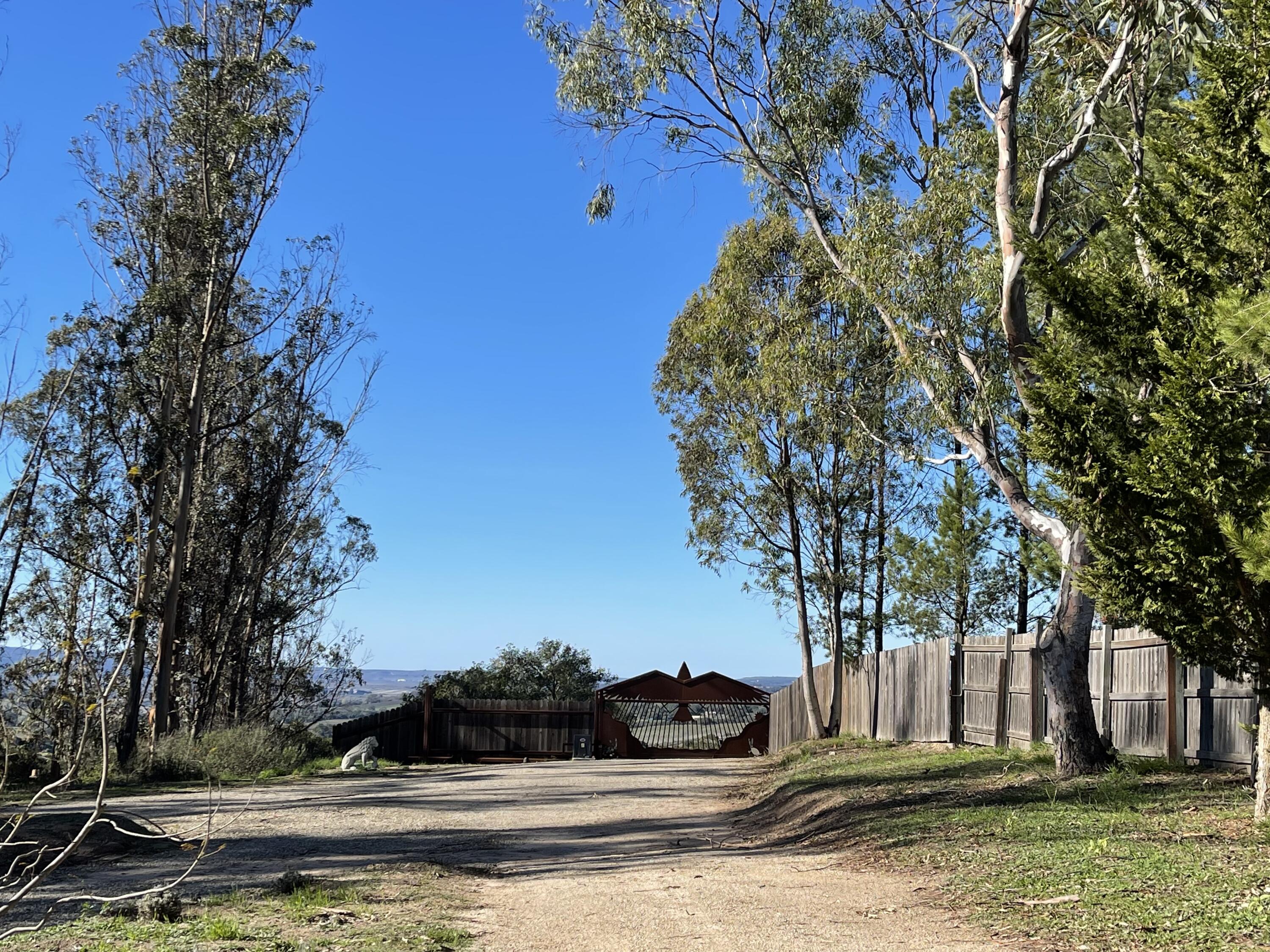 1910 Tularosa Road Lompoc, CA 93436 - Photo 48 of 55 a view of a yard with plants