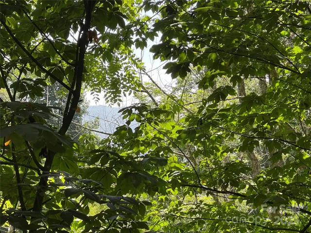 a backyard of a house with lots of green tree