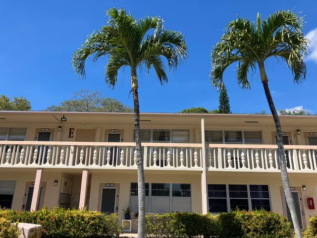 front view of a house with a palm tree