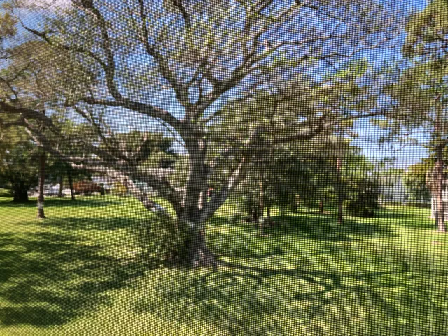 a big yard with swimming pool and green space