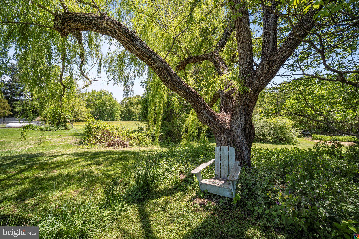 32 Manse Road Fredericksburg, VA 22406 - Photo 49 of 54 Simply stunning landscaping.