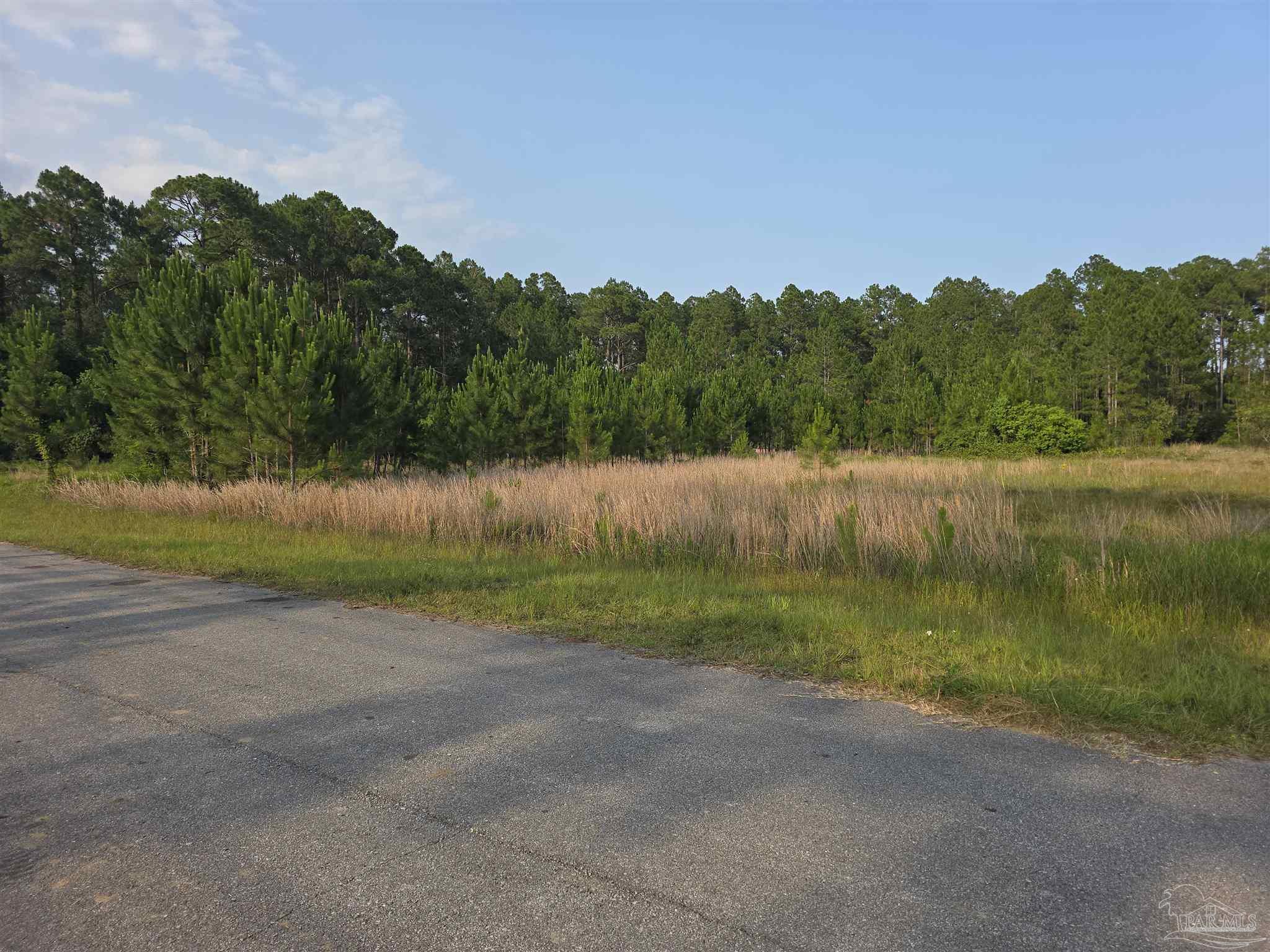980 Rustic Lane Pensacola, FL 32506 - Photo 9 of 10 Gallery Image 9