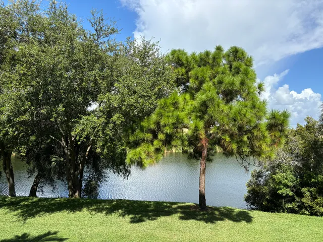a view of a yard in front of the house