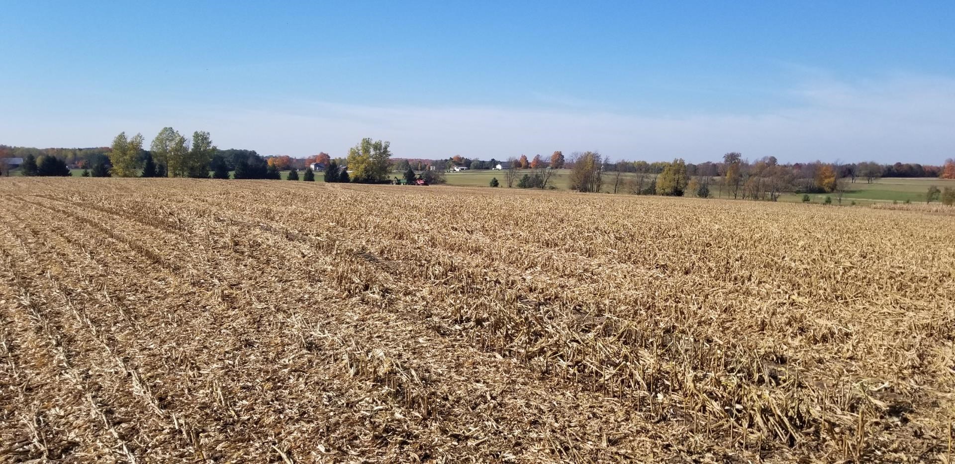 Vl East Vl E Sparling Road Kingsley, MI 49649 - Photo 3 of 12