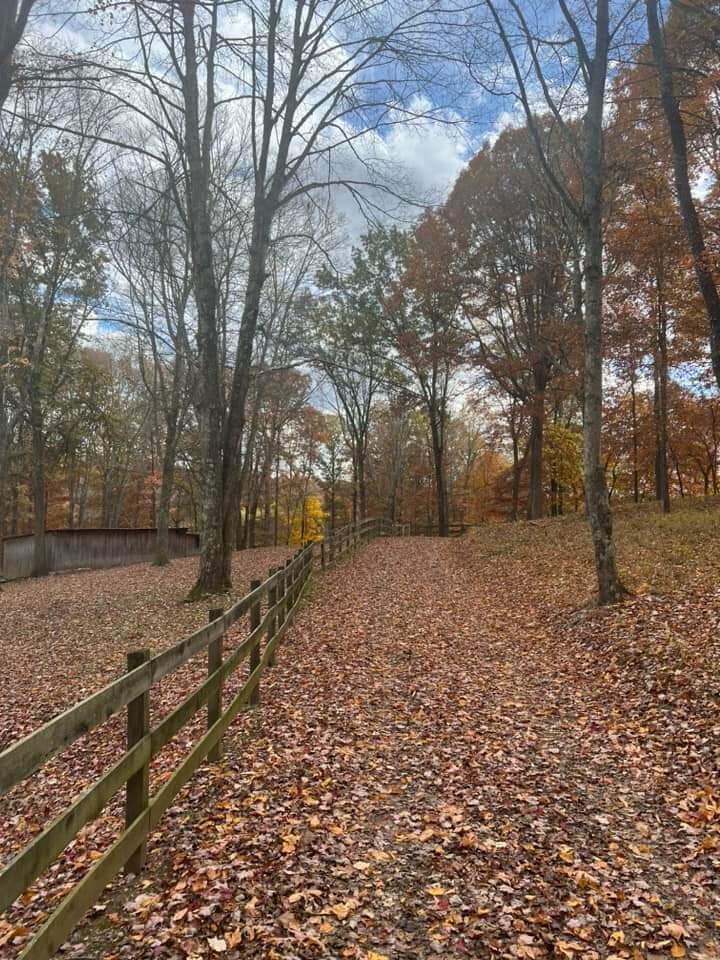 21354 Griffith Road Logan, OH 43138 - Photo 14 of 82 Griffith pic five
